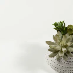 Tvilum Sonoma Home Office Writing Desk With 2 Drawers In White -CYMAX Sales 1439680 18 L