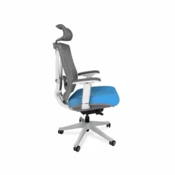 Autonomous Premium Ergonomic Office Chair In All Black -CYMAX Sales 1570177 1 L