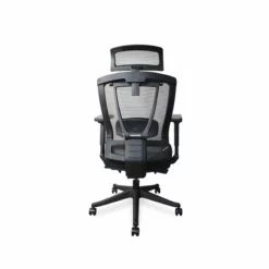 Autonomous Premium Ergonomic Office Chair In All Black -CYMAX Sales 1570181 1570183 L