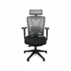 Autonomous Premium Ergonomic Office Chair In All Black 1 Autonomous Premium Ergonomic Office Chair In All Black -CYMAX Sales 1570181 L