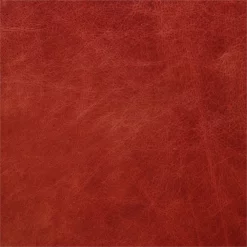 ACME Calan Leather High Back Adjustable Swivel Office Chair In Whiskey Brown -CYMAX Sales 1746849 4 L