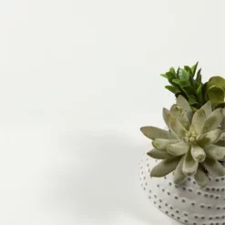 Tvilum Walden Desk With 5 Drawers In Oak Structure -CYMAX Sales 2004499 11 L