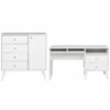 Home Square 2-Piece Set With Chest With Door & Computer Desk With Side Storage -CYMAX Sales 2463751 L