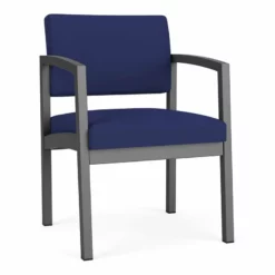 Lesro Lenox Steel Modern Fabric Guest Chair In Charcoal/Open House Navy -CYMAX Sales 2473210 L 1