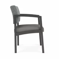 Lesro Lenox Steel Fabric Guest Chair In Charcoal/Adler Nocturnal/Castillo Black -CYMAX Sales 2473212 1 L 3