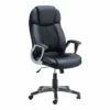 Eden Home 47.8" High Back Faux Leather Swivel Executive Office Chair In Black