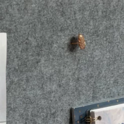 Sauder Anda Norr Engineered Wood Wall Mount Desk In Pearl Oak/Blaze Acacia -CYMAX Sales 2518651 10 L