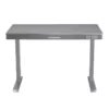 LIVILAND 47 In. Gray Adjustable Desk