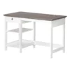 Saint Birch Finley White 47-inch Writing Desk With Storage And Shelves 1 Saint Birch Finley White 47-inch Writing Desk With Storage And Shelves -CYMAX Sales 2659255 L
