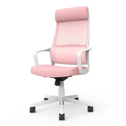 Pemberly Row Contemporary Metal And Mesh Adjustable Office Chair In Pink -CYMAX Sales 2774768 1 L